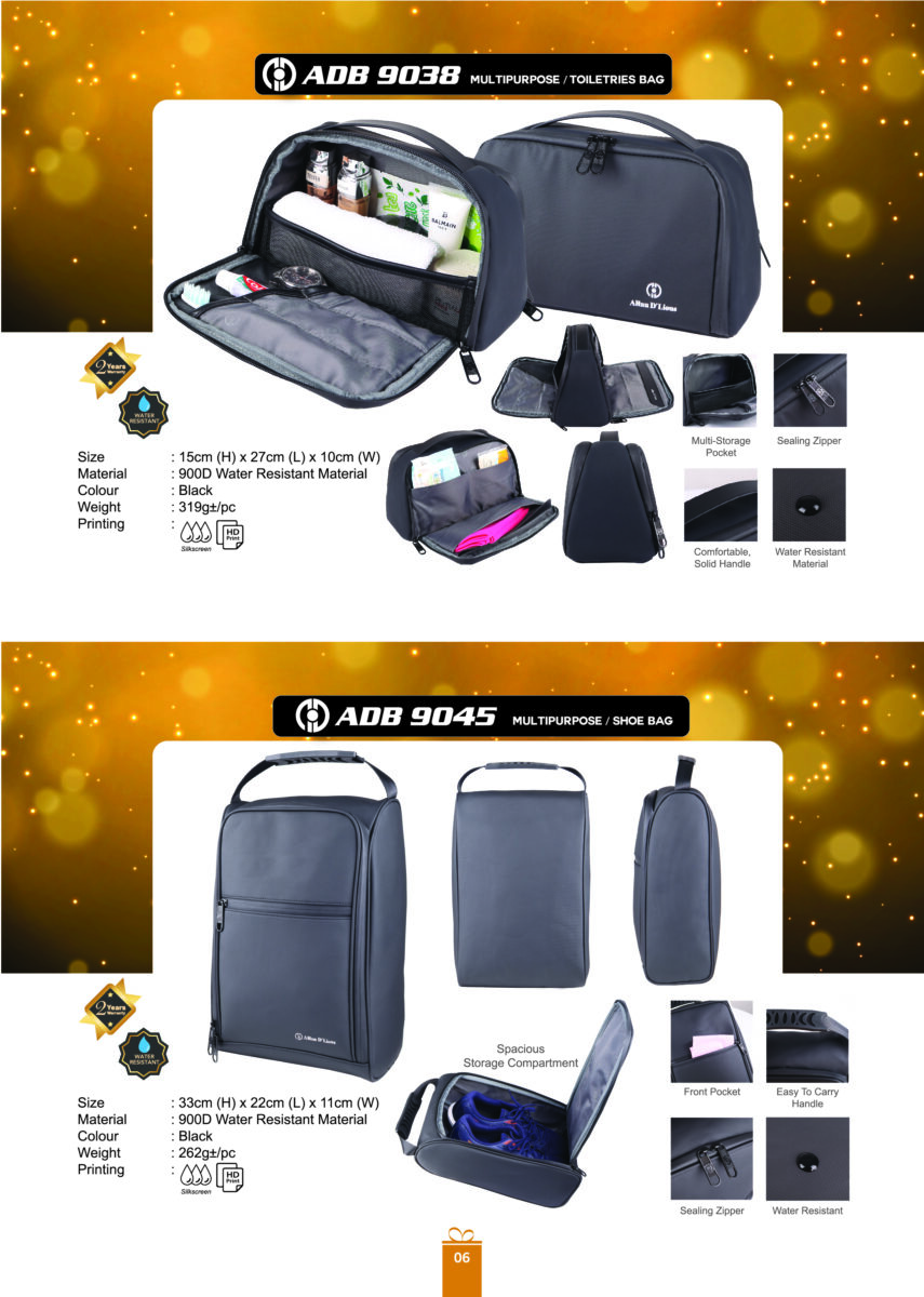 Allan D'Lious Laptop Bagpack 3